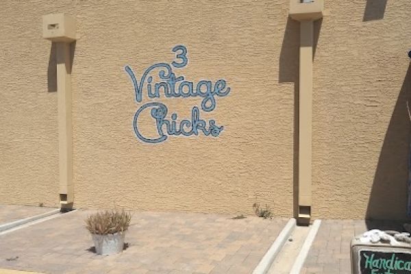 3 Vintage Chicks